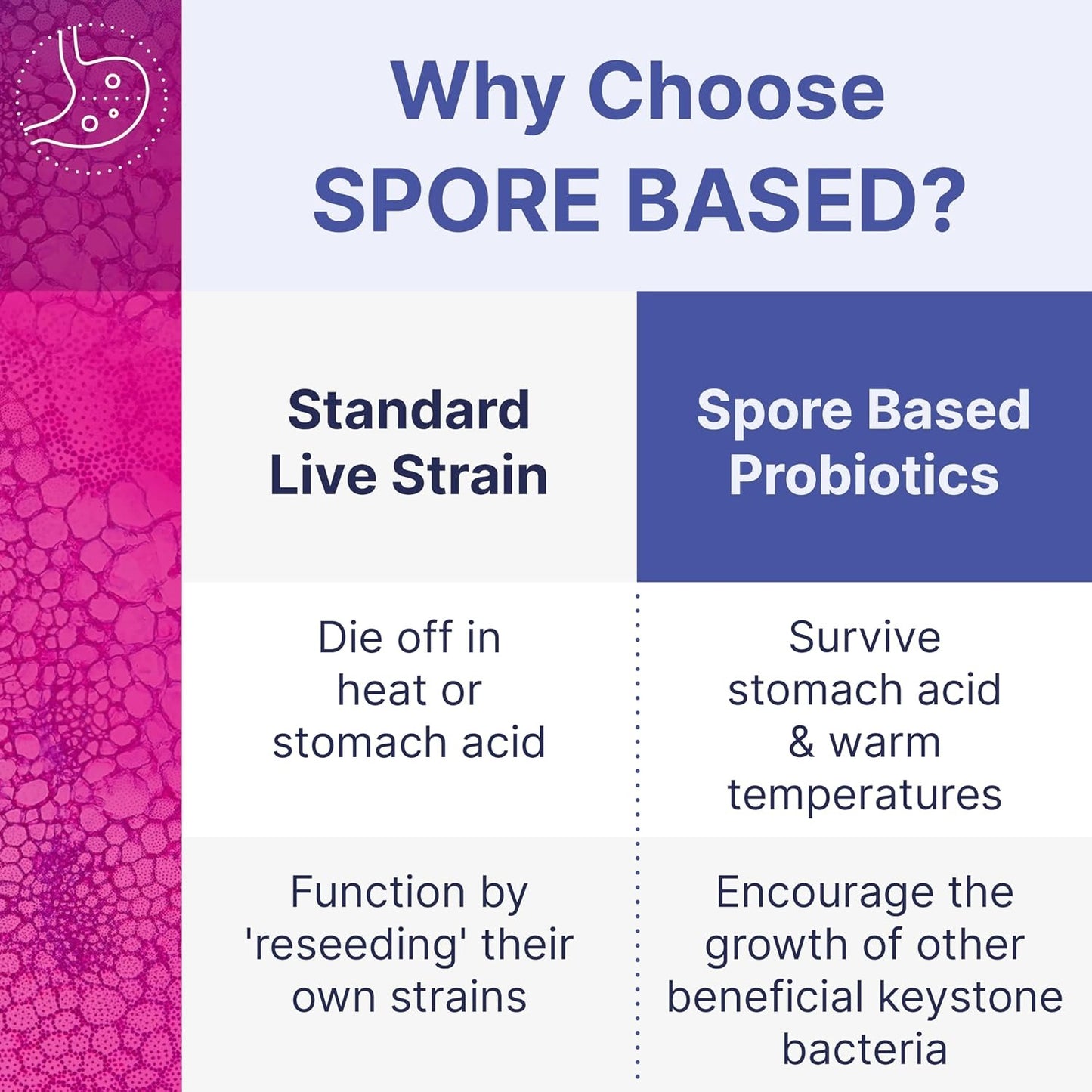 Mega SporeBiotic™ 60 Capsules